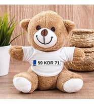 Kişiye Özel İsim ve Plaka Baskılı Araba Peluş Ayıcık