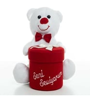 Ayıcık kutulu peluş sevimli
