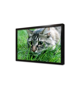 Kedi Çerçeveli Mdf Tablo