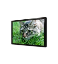 Kedi Çerçeveli Mdf Tablo