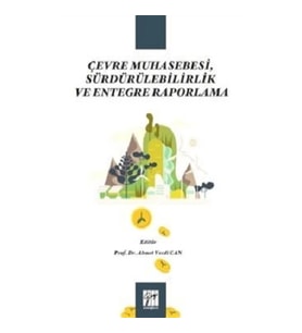 Çevre Muhasebesi, Sürdürülebilirlik ve Entegre Raporlama
