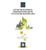 Çevre Muhasebesi, Sürdürülebilirlik ve Entegre Raporlama