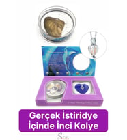 Özel Üretim Kutulu İstiridye İçinde Sevgiliye Anneye Gerçek İnci Kolye Hediye Kadın Aksesuar Seti (Gümüş)