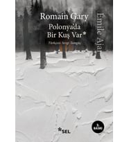 Polonya'da Bir Kuş Var
