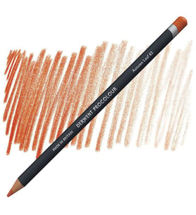 Derwent Procolour Kuru Boya Kalemi 62 AUTUMM LEAF 