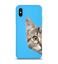 Apple iPhone XS Max Uyumlu Lansman Kılıf Catface Tasarımlı Altı Kapalı İçi Kadife Kaplı  Kapak (Şeffaf)