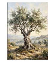 Taşlı Arazide Yaşlı Zeytin Ağacı Dekoratif Kanvas - Mdf Ahşap Tablo