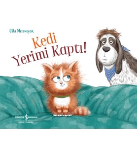Kedi Yerimi Kaptı!