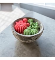 Sevgiliye Kaktüs Bahçesi Mum El Yapımı %100 Doğal Soya Wax Mum