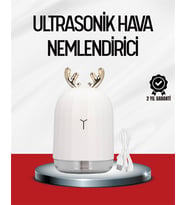El Tipi Usb Mini Soğuk Mist Nemlendirici 220 Ml Tank - Lisinya