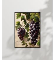 Üzüm Salkımı Duvar Poster