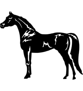 AT FOLYO STİCKER 60cm Uzunluk (Karışık)