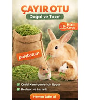 POLYBOTUM Doğal Çayır Otu Kemirgen Yemi Tavşan Hamster Ginepig Chinchilla Doğal Kurutulmuş Kemirgen Otu 100 Gr