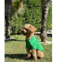 Yazlık Köpek Gömleği Keten Good Vibes 0-15Kg (Yeşil)