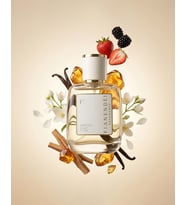 FIANENDÉI PARFUMS W-B5 Çilek ve Vanilyalı Kadın Parfüm EDP 50 ML