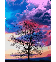 Ağaç Tutulması Sayılarla Boyama Seti 40x50 cm (Tuvale Gerili)