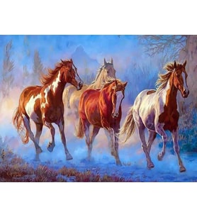 Doru Sayılarla Boyama Seti 40x50 cm (Tuvale Gerili)