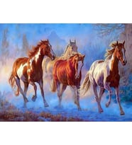 Doru Sayılarla Boyama Seti 40x50 cm (Tuvale Gerili)
