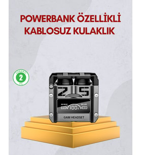 5.0 Kulak İçi Mikrofonlu Model