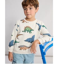 LCW Kids Karışık Erkek Çocuk Dinozor Baskılı Kalın Sweatshirt