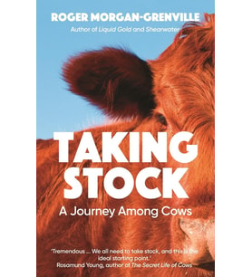 Taking Stock: A Journey Among Cows