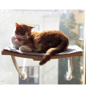 HOME Yeni Dizayn Lüx Cam Ve Duvar İçin Kedi Yatağı Vantuzlu