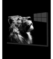 Aslan Hayvan Cam Tablo 4mm Dayanıklı Temperli Cam
