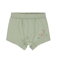 Civil Baby Dinazor 9-18 Ay Bebek Erkek Boxer - Standart