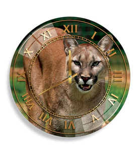  Puma Cam Saat - 40 cm