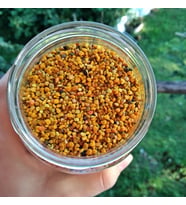 POLEN TAZE YENİ MAHSÜL POLEN 100 GR SAF KATKISIZ