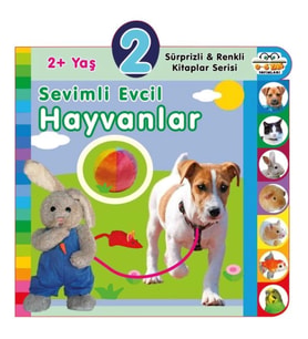 Yaş Sevimli Evcil Hayvanlar (2+Yaş)
