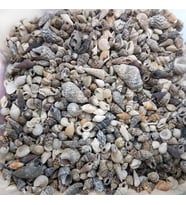 Karışık Minik Kiloluk Deniz Kabuğu (Şişe İçi İçin) 500 Gr