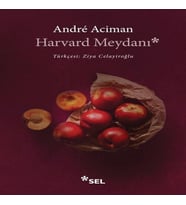 Harvard Meydanı