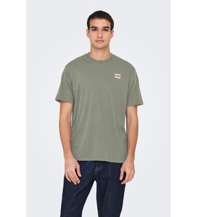 ONLY & SONS ONSDAWSON Erkek Regular Fit Kısa Kollu T-Shirt  Günlük Kullanım (Açık Yeşil)