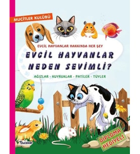 Evcil Hayvanlar Neden Sevimli?