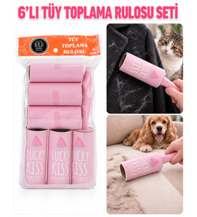 6’lı Tüy Toplama Rulosu Seti, Saplı Yapışkanlı Kedi Köpek Tüyü ve Toz Temizleme Rulosu
