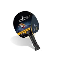 ITTF Onaylı Masa Tenisi Raketi