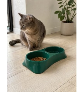 İkili Model Beton Kedi Köpek Mama ve Su Kabı (24cm × 12cm × 5cm) - Yeşil