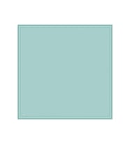 Belli %100 Twill İpek Eşarp 4055D 83
