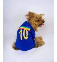Uno Blue Köpek Tişörtü