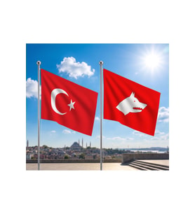 TRY Bayrağı ve Alpaka Kumaş Türk Bayrağı 2'li Set 100x150cm