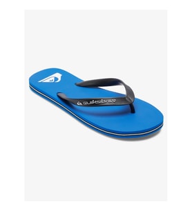 Quiksilver MOLOKAI CORE Erkek Ayakkabı AQYL101325-QK.BYJ1