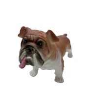 Soft Köpekler - Amerikan Bulldog Cinsi Köpek - E013