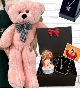 Büyük Boy Pembe Peluş Ayıcık ve Kelebek Kolyeli Fotoğraflı Hediye Kutusu - Premium Set (Model 4)