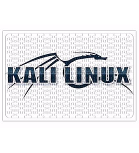 Linux Kali Puzzle 240 Parça Yapboz