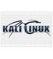 Linux Kali Puzzle 240 Parça Yapboz