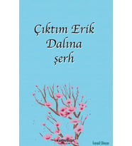 Çıktım Erik Dalına şerh