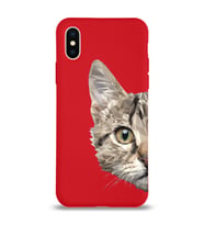 Apple iPhone XS Uyumlu Lansman Kılıf Catface Tasarımlı Altı Kapalı İçi Kadife Kaplı Silikon Kapak (Şeffaf)