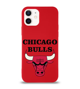 Apple iPhone 12 Mini  Lansman Kılıf Chicago Bulls Tasarımlı Altı Kapalı İçi Kadife Kaplı  Kapak (Şeffaf)