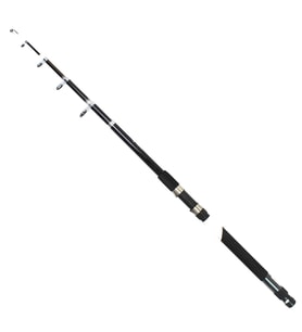 1700 PICASSO TELESCOPIC KAMIŞ 270 CM 70-150 GR